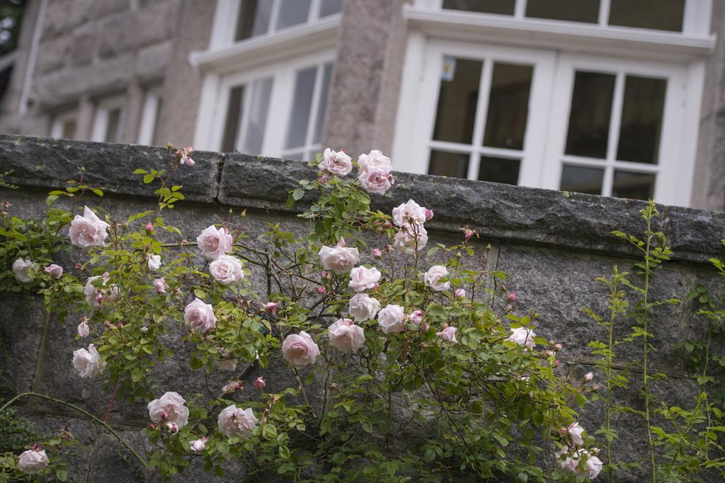 Lys-Na-Greyne Bed & Breakfast Aboyne Dış mekan fotoğraf