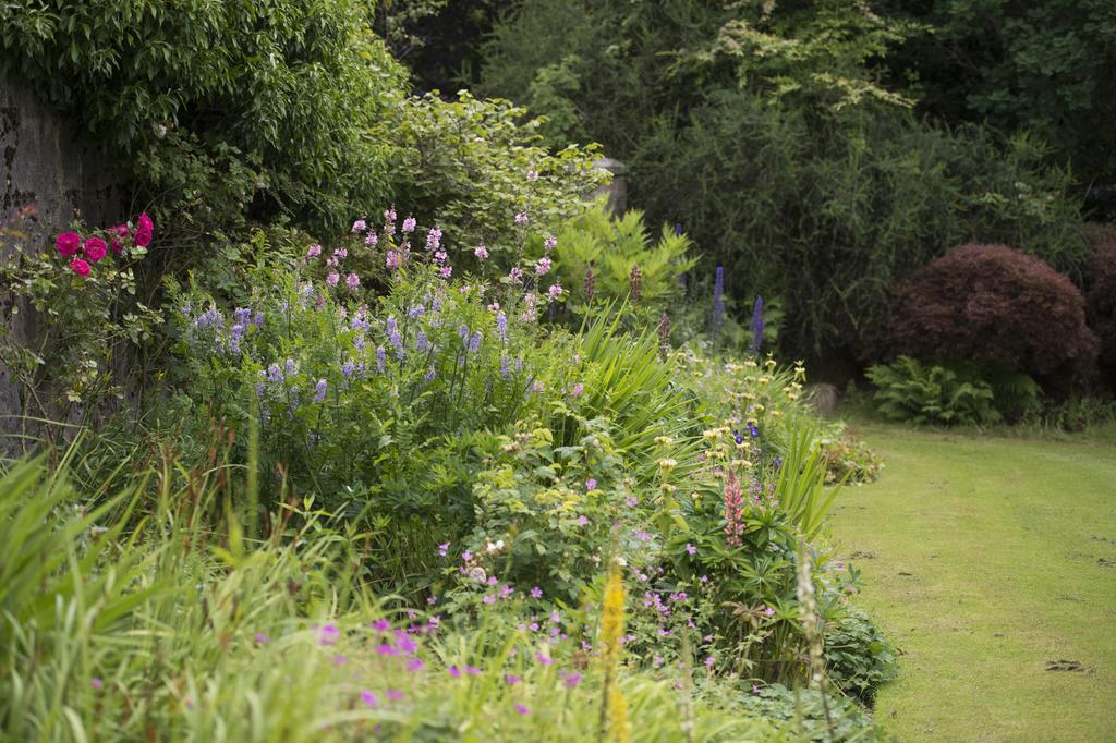 Lys-Na-Greyne Bed & Breakfast Aboyne Dış mekan fotoğraf
